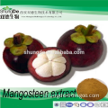 100% Natural Mangosteen Fruit Extract powder of mangostin powder